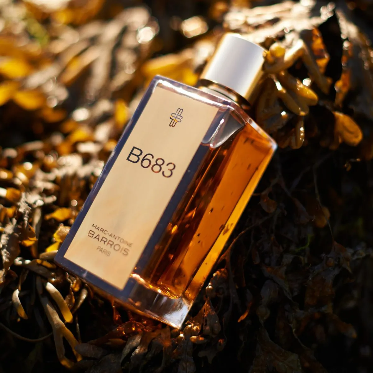 Leer | Ganymede | Perfume Lounge B683 - eau de parfum