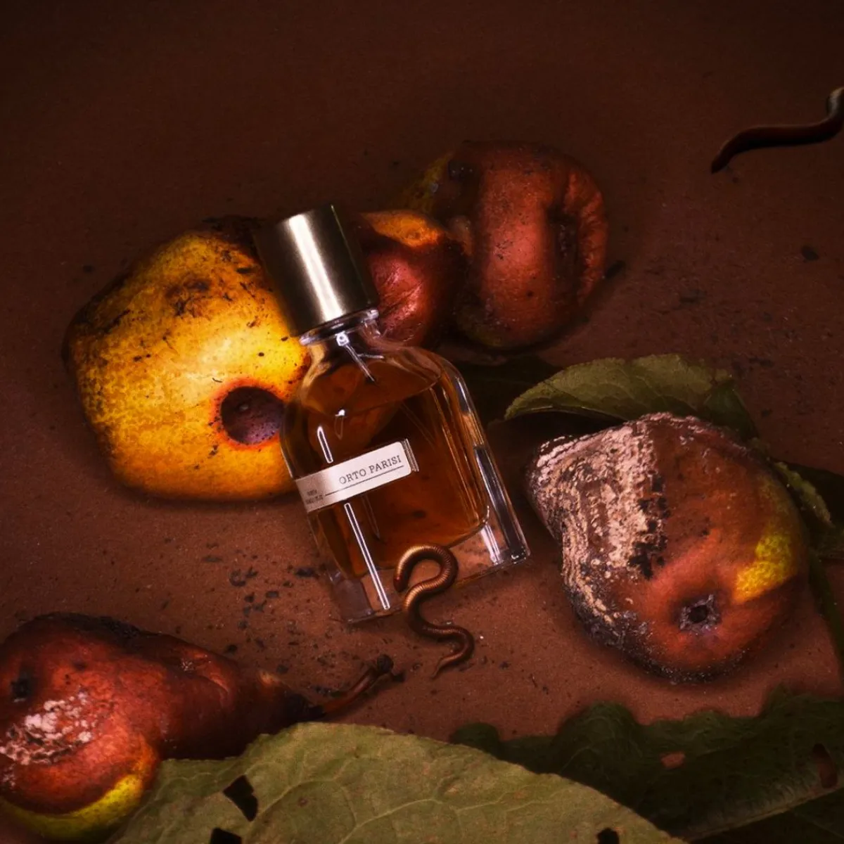 Alessandro Gualtieri | Energiek | Perfume Lounge Bergamask - extrait de parfum