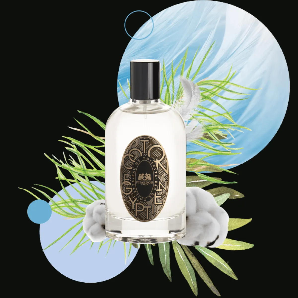 Clean | Musky | Perfume Lounge Coton Egyptien - eau de toilette