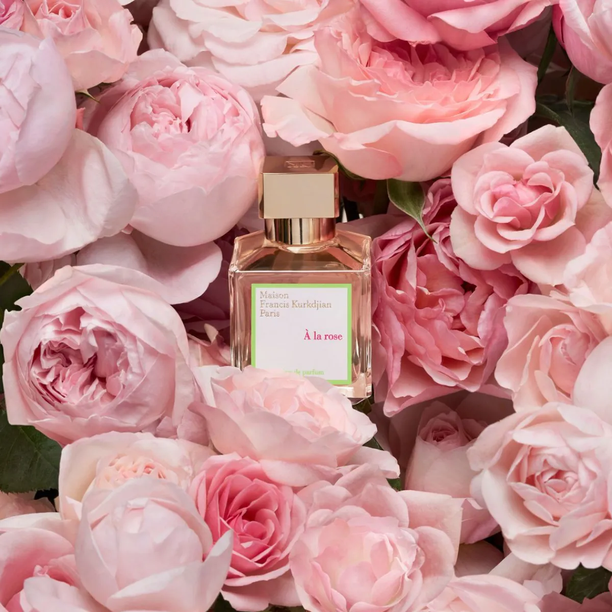 Francis Kurkdjian | Romantisch | Perfume Lounge À la rose - eau de parfum