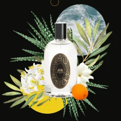 Citrus | Perfume Lounge L'eau de Phaedon - eau de toilette