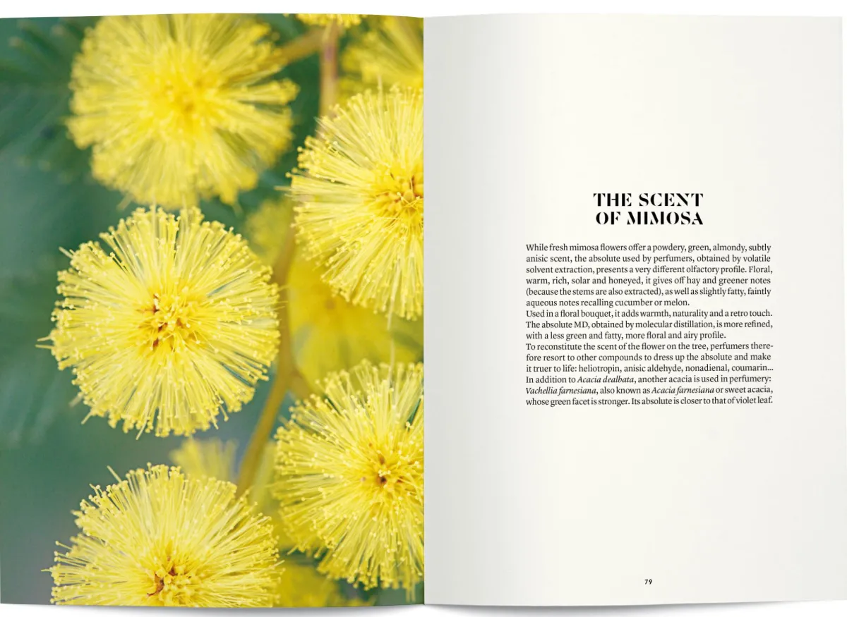 Boeken | Perfume Lounge Mimosa in perfumery