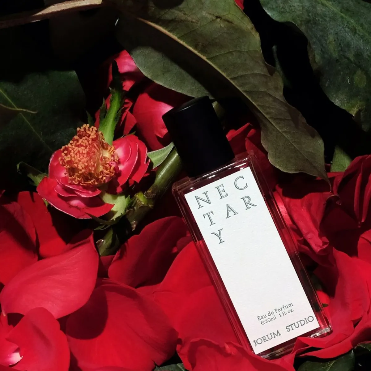 Vrolijk | Perfume Lounge Nectary - eau de parfum