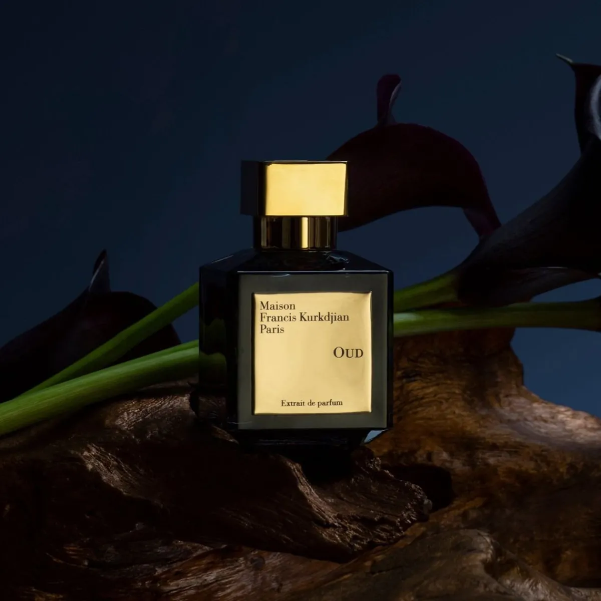 Francis Kurkdjian | Perfume Lounge OUD - extrait de parfum