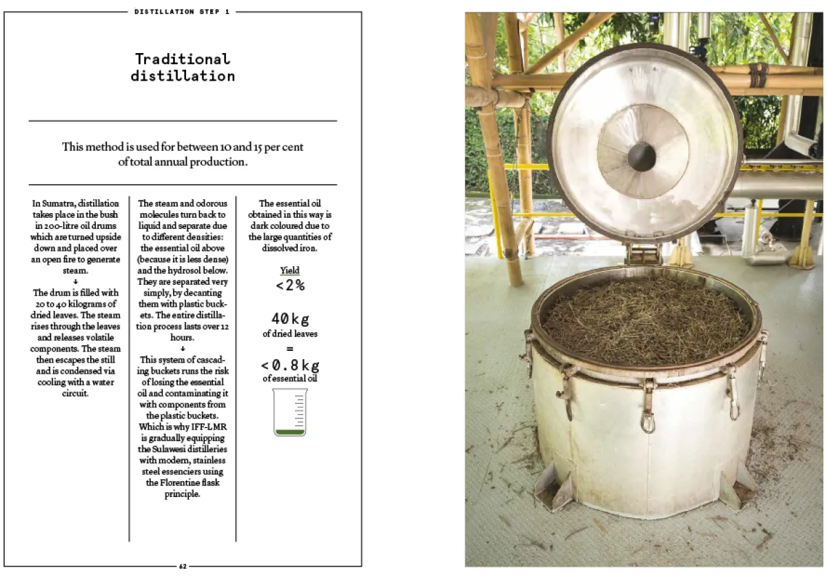 Boeken | Perfume Lounge Patchouli in perfumery
