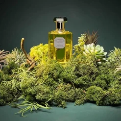 Houtachtig | Perfume Lounge Theseus - eau de toilette