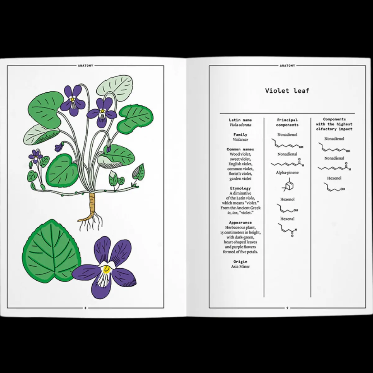 Voor Haar | Perfume Lounge Violet leaf in perfumery